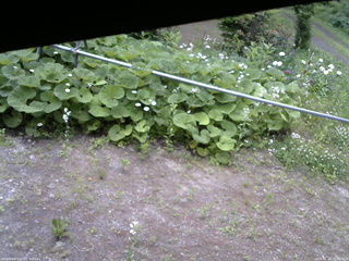 長野県菅平高原 ゆたか山荘 駐車場 2026/06/18 13:00