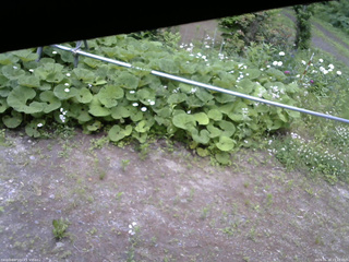 長野県菅平高原 ゆたか山荘 駐車場 2026/06/18 13:15