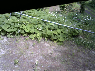 長野県菅平高原 ゆたか山荘 駐車場 2026/06/18 13:45