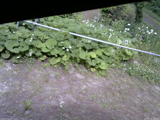 長野県菅平高原 ゆたか山荘 駐車場 2026/06/18 14:45