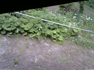 長野県菅平高原 ゆたか山荘 駐車場 2026/06/18 15:00