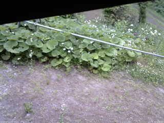 長野県菅平高原 ゆたか山荘 駐車場 2026/06/18 16:15