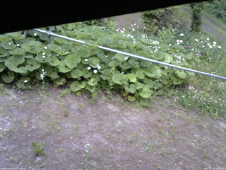 長野県菅平高原 ゆたか山荘 駐車場 2026/06/18 16:45