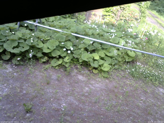 長野県菅平高原 ゆたか山荘 駐車場 2026/06/18 17:00