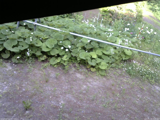 長野県菅平高原 ゆたか山荘 駐車場 2026/06/18 17:15