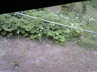 長野県菅平高原 ゆたか山荘 駐車場 2026/06/18 17:45