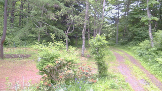 長野県菅平高原 ゆたか山荘 坂上 2026/06/18 06:00