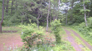 長野県菅平高原 ゆたか山荘 坂上 2026/06/18 06:30