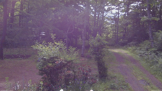 長野県菅平高原 ゆたか山荘 坂上 2026/06/18 07:30