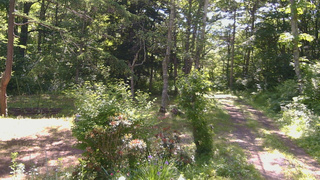 長野県菅平高原 ゆたか山荘 坂上 2026/06/18 08:30