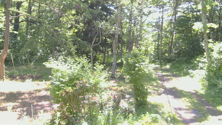 長野県菅平高原 ゆたか山荘 坂上 2026/06/18 09:00