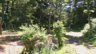 長野県菅平高原 ゆたか山荘 坂上 2026/06/18 09:45