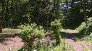 長野県菅平高原 ゆたか山荘 坂上 2026/06/18 10:15