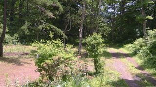 長野県菅平高原 ゆたか山荘 坂上 2026/06/18 11:30