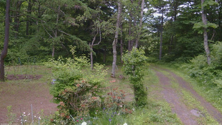 長野県菅平高原 ゆたか山荘 坂上 2026/06/18 11:45
