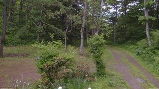 長野県菅平高原 ゆたか山荘 坂上 2026/06/18 12:00