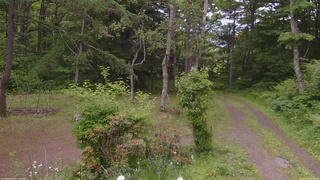 長野県菅平高原 ゆたか山荘 坂上 2026/06/18 12:15