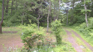 長野県菅平高原 ゆたか山荘 坂上 2026/06/18 13:00
