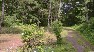 長野県菅平高原 ゆたか山荘 坂上 2026/06/18 13:45
