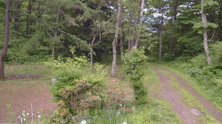 長野県菅平高原 ゆたか山荘 坂上 2026/06/18 14:30