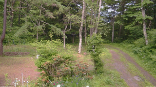長野県菅平高原 ゆたか山荘 坂上 2026/06/18 14:45