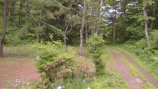 長野県菅平高原 ゆたか山荘 坂上 2026/06/18 15:15
