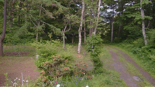 長野県菅平高原 ゆたか山荘 坂上 2026/06/18 15:30