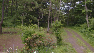 長野県菅平高原 ゆたか山荘 坂上 2026/06/18 15:45