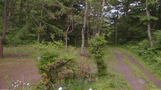 長野県菅平高原 ゆたか山荘 坂上 2026/06/18 16:45