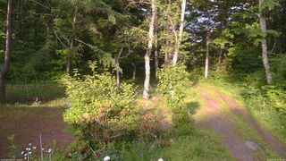 長野県菅平高原 ゆたか山荘 坂上 2026/06/18 17:15
