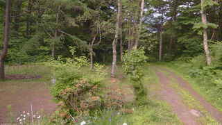 長野県菅平高原 ゆたか山荘 坂上 2026/06/18 18:15