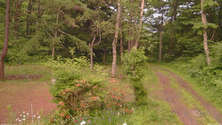 長野県菅平高原 ゆたか山荘 坂上 2026/06/18 18:45