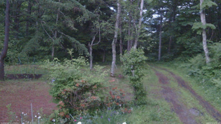 長野県菅平高原 ゆたか山荘 坂上 2026/06/18 19:15