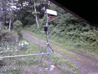 長野県菅平高原 ゆたか山荘 南側 2026/06/19 18:45