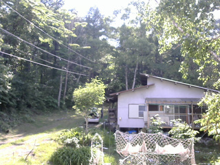 長野県菅平高原 ゆたか山荘 西側(坂上) 2026/06/19 15:30