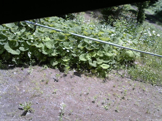 長野県菅平高原 ゆたか山荘 駐車場 2026/06/19 10:00