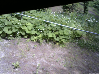 長野県菅平高原 ゆたか山荘 駐車場 2026/06/19 12:30