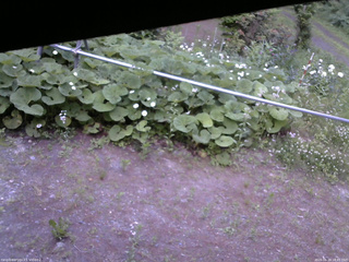 長野県菅平高原 ゆたか山荘 駐車場 2026/06/19 18:45