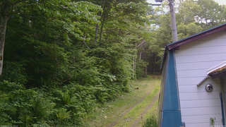 長野県菅平高原 ゆたか山荘 ゆたか山荘 2026/06/19 12:15