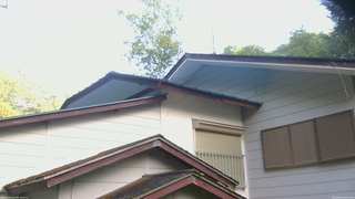 長野県菅平高原 ゆたか山荘 駐車場奥 2026/06/19 05:15