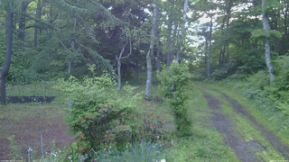 長野県菅平高原 ゆたか山荘 坂上 2026/06/19 05:00