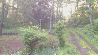 長野県菅平高原 ゆたか山荘 坂上 2026/06/19 05:15