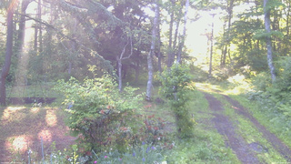 長野県菅平高原 ゆたか山荘 坂上 2026/06/19 05:45