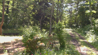 長野県菅平高原 ゆたか山荘 坂上 2026/06/19 08:30