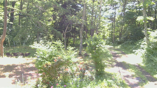 長野県菅平高原 ゆたか山荘 坂上 2026/06/19 09:00