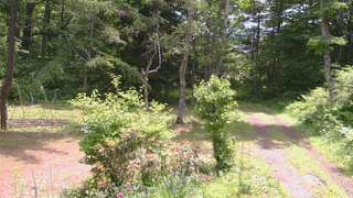 長野県菅平高原 ゆたか山荘 坂上 2026/06/19 10:45