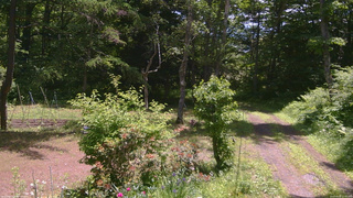 長野県菅平高原 ゆたか山荘 坂上 2026/06/19 11:00