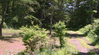 長野県菅平高原 ゆたか山荘 坂上 2026/06/19 11:15