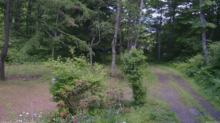 長野県菅平高原 ゆたか山荘 坂上 2026/06/19 11:45