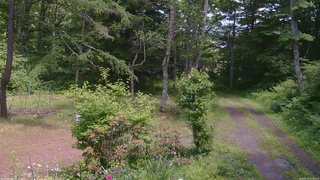 長野県菅平高原 ゆたか山荘 坂上 2026/06/19 12:00
